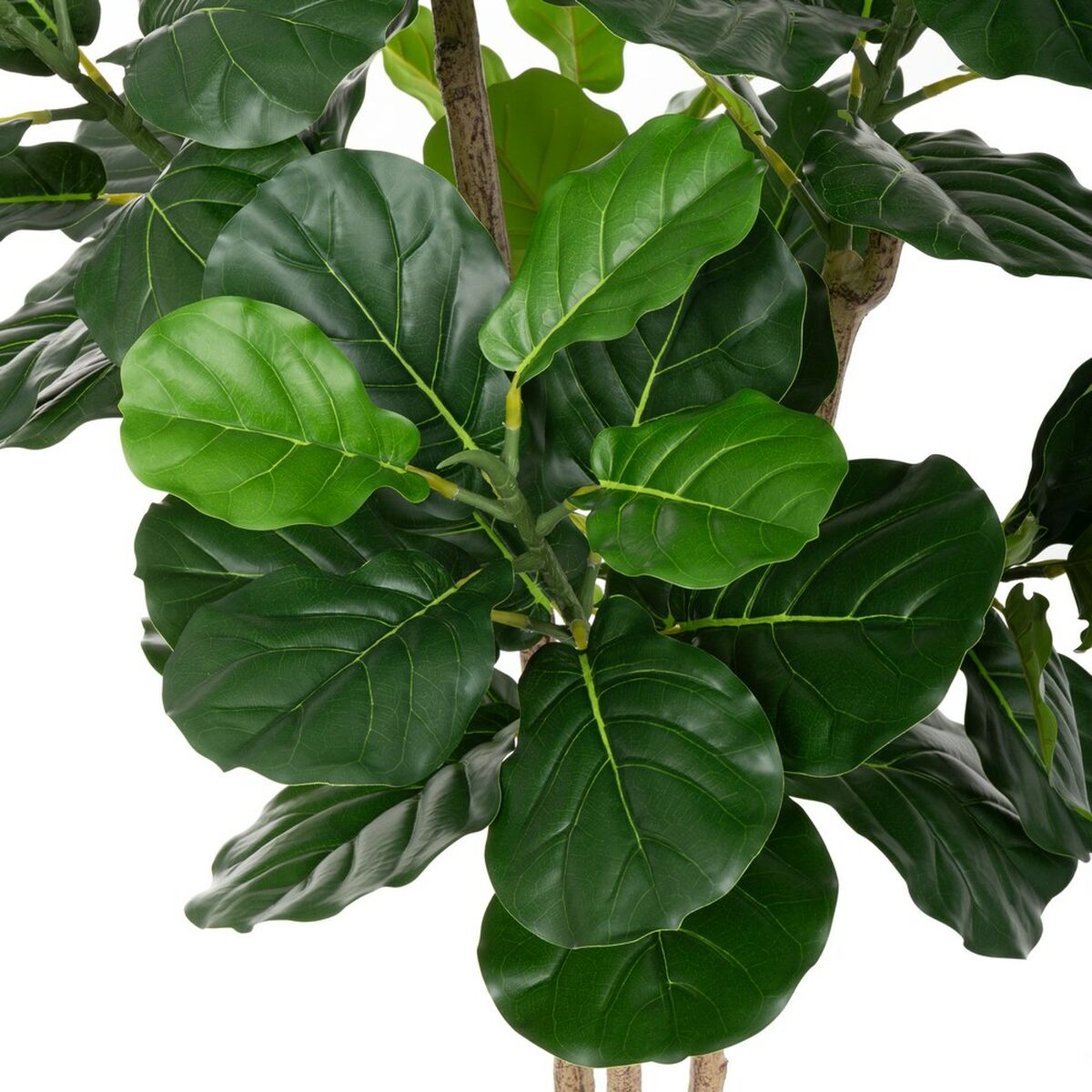Decoratieve plant Polyurethaan Cement Vijgen 175 cm